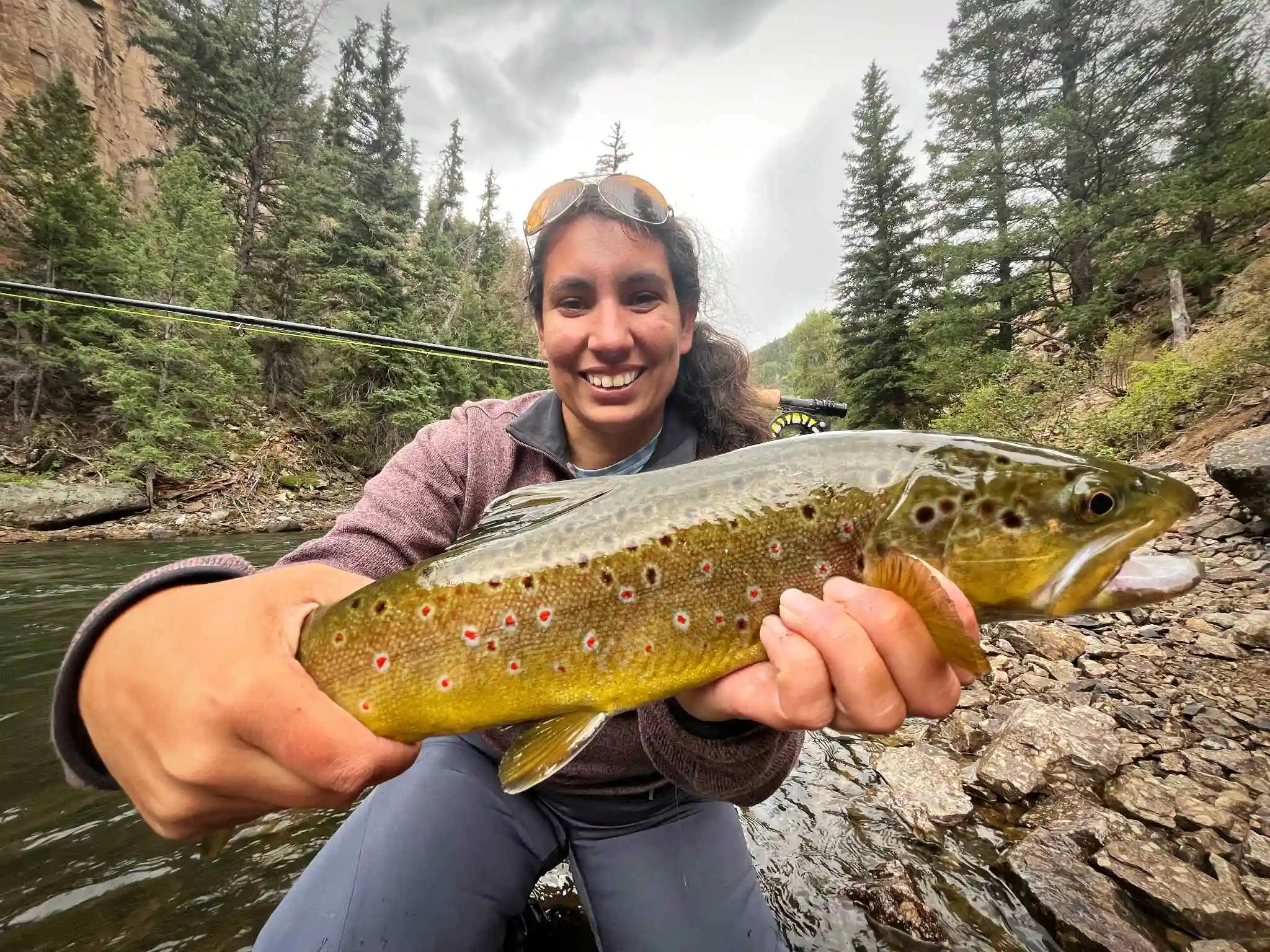 Perfect catch on a pristine Colorado stream